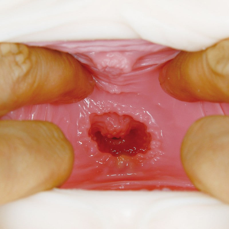 NPG Meiki No Saigen Marugoto Aika Onahole