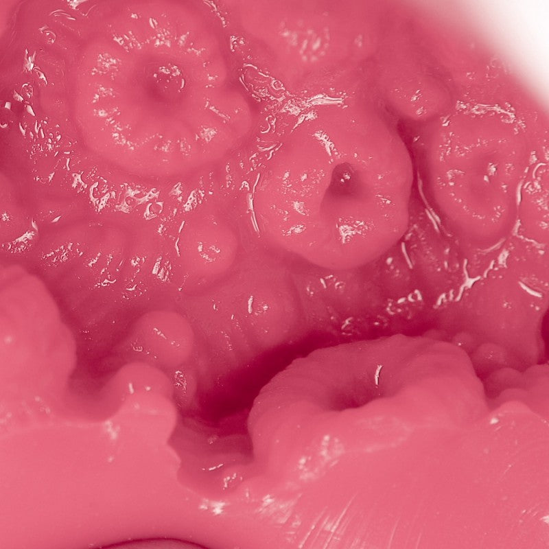 NPG Meiki No Saigen Marugoto Aika Onahole