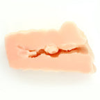 NPG Meiki No Syoumei 01 Maria Ozawa Onahole