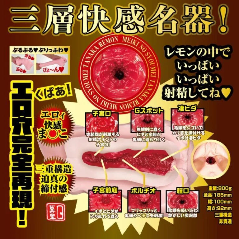 NPG Meiki No Syoumei 13 Tanaka Remon Onahole