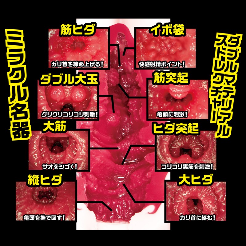 NPG Meiki No Syoumei 12 Eimi Fukada Onahole