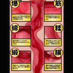 KMP Star Hole 11 Arina Hashimoto Onahole