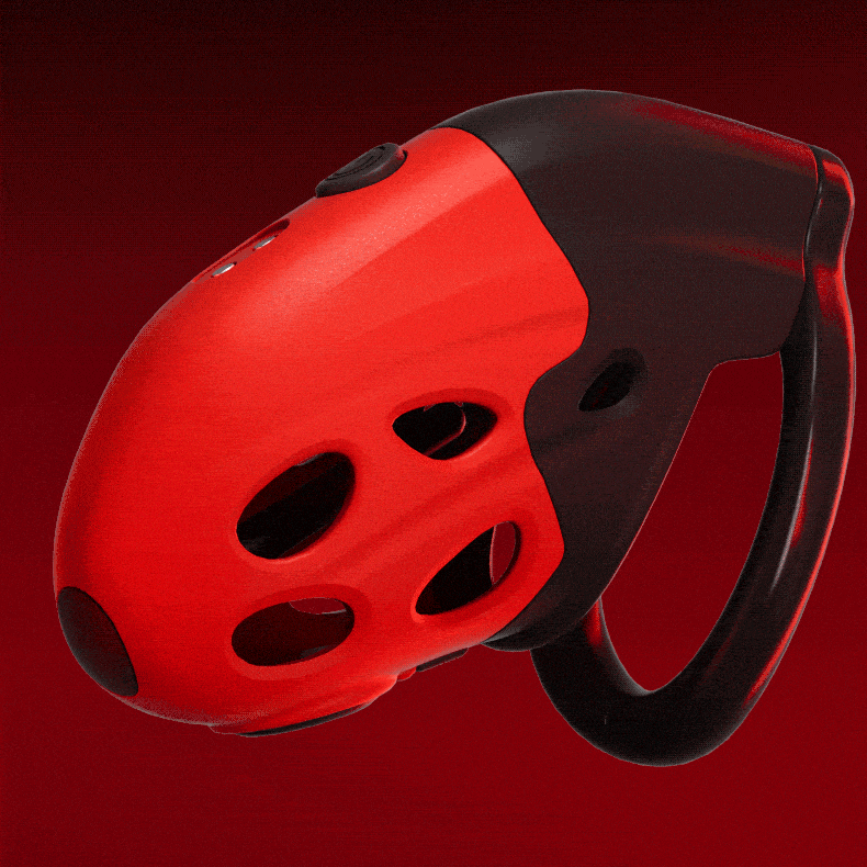 LOCKINK Electric Shock & Vibrating Male Chastity Cage Remote Controlled