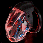 LOCKINK Electric Shock & Vibrating Male Chastity Cage Remote Controlled