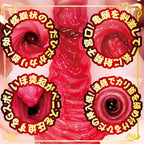 NPG AV Mini Meiki Arina Hashimoto Onahole