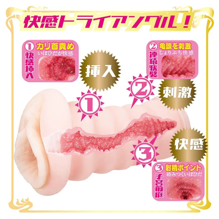 NPG AV Mini Meiki Eimi Fukada Onahole