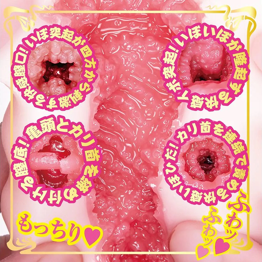 NPG AV Mini Meiki Eimi Fukada Onahole