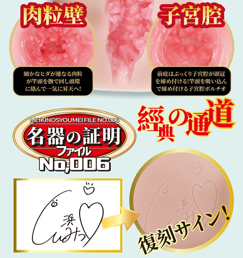 NPG Meiki No Syoumei 06 Mitsuri Nagahama Onahole