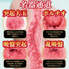 NPG Meiki No Syoumei 06 Mitsuri Nagahama Onahole