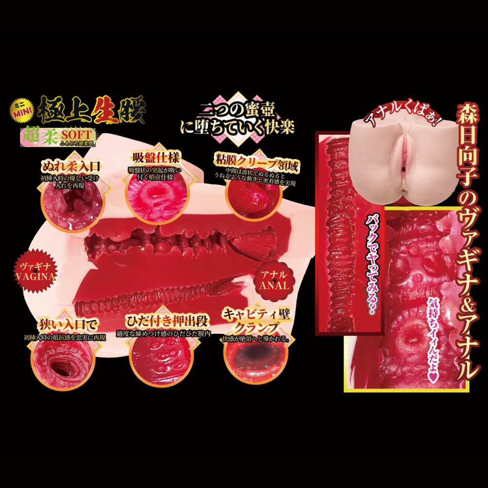 NPG Gokujo Namagoshi Mini Mori Hinako Hip Onahole