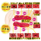 NPG Gokujo Namagoshi Mini Rika Mari Hip Onahole