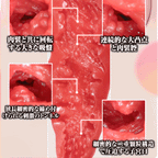 NPG Mature-Star Ai Sayama JAV Onahole