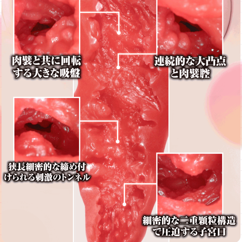 NPG Mature Star Ai Sayama JAV Onahole