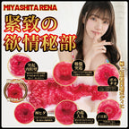 NPG Meiki No Shoumei 01 Rena Miyashita Onahole