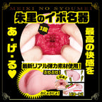 NPG Shin Meiki No Syoumei 02 Mitani Akari Onahole