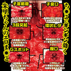 NPG Shin Meiki No Syoumei 02 Mitani Akari Onahole