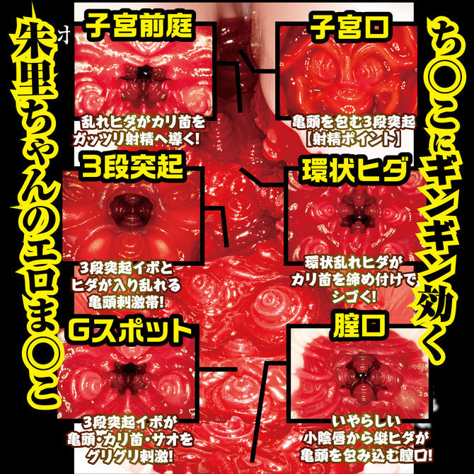 NPG Shin Meiki No Syoumei 02 Mitani Akari Onahole