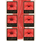 NPG Meiki No Syoumei 03YS 3nd Gen Morisawa Kana Onahole