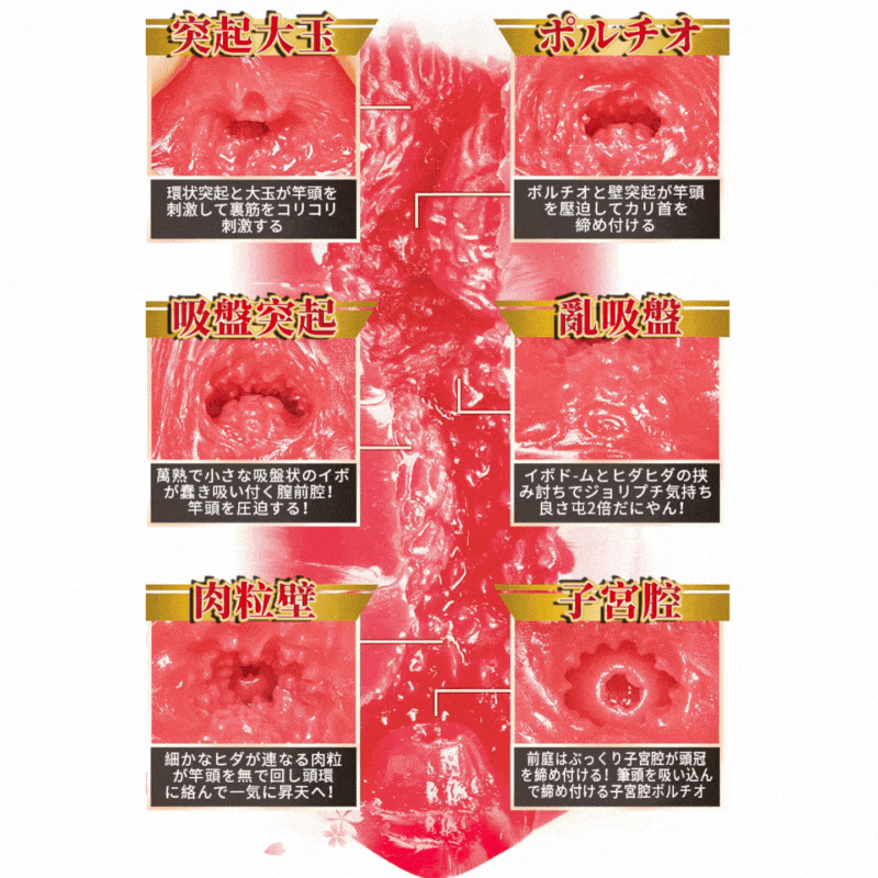 NPG Meiki No Syoumei 06 2. Generation Su Chang Onahole