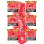 NPG Meiki No Syoumei 06 2. Generation Su Chang Onahole