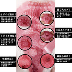 NPG Meiki No Syoumei 11 Shoko Takahashi Onahole