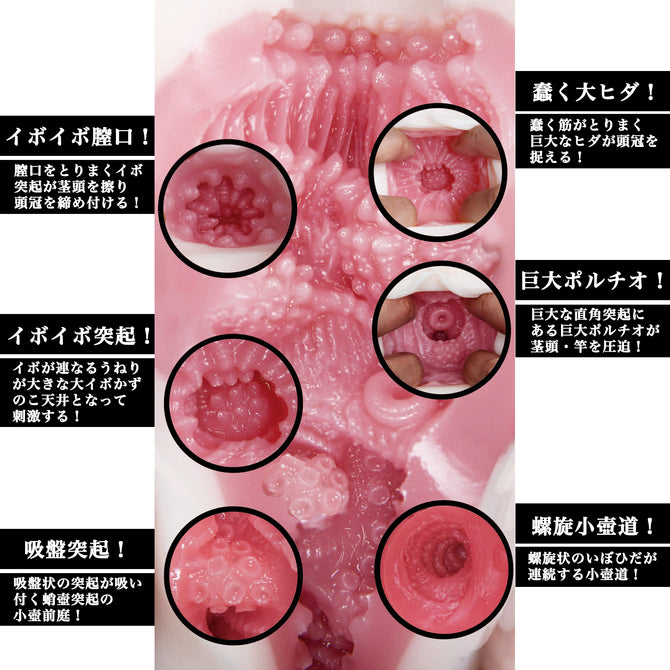 NPG Meiki No Syoumei 11 Shoko Takahashi Onahole