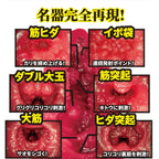 NPG Meiki No Syoumei 12 II Alice Nanase Onahole