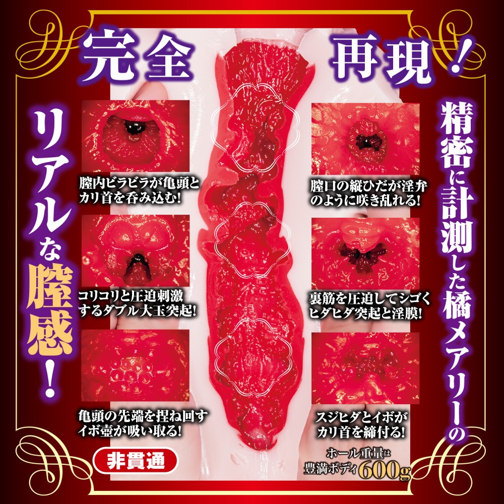 NPG Shin Mature Star Mary Tachibana Onahole